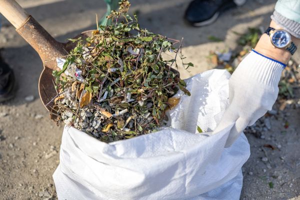 A gloved worker shovelling garden waste into a sack